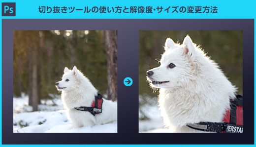 【Photoshop】切り抜きツールの使い方と解像度・サイズの変更方法を徹底解説