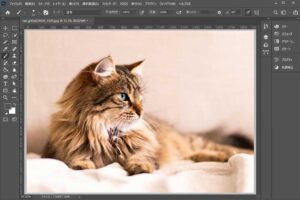 【Photoshop】スマートオブジェクトとは？編集方法やラスター画像との違いを徹底解説 | S.Design.Labo
