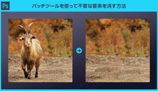 【Photoshop】パッチツールで写真の不要な要素を消す方法を徹底解説forフォトショ初心者